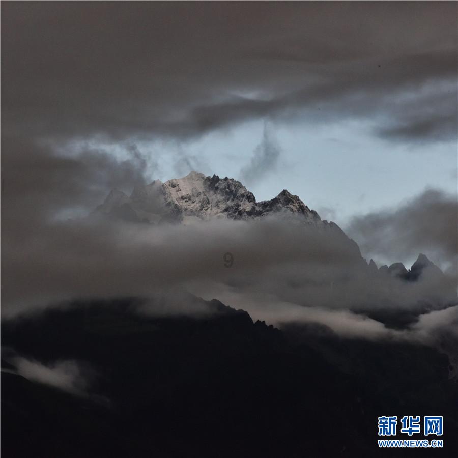 萌宠大连接